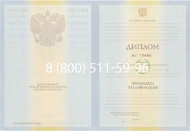 Диплом Волгоградского филиала Финансового университета 2010-2011 годов Диплом Волгоградского филиала Финансового университета 2010-2011 годов
