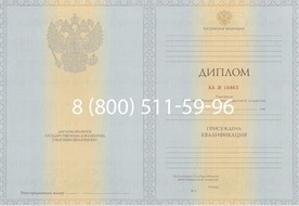 Диплом Волгоградского филиала Финансового университета 2012-2013 годов Диплом Волгоградского филиала Финансового университета 2012-2013 годов